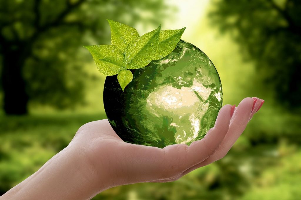 Green Bonds: Anlage für Idealisten
